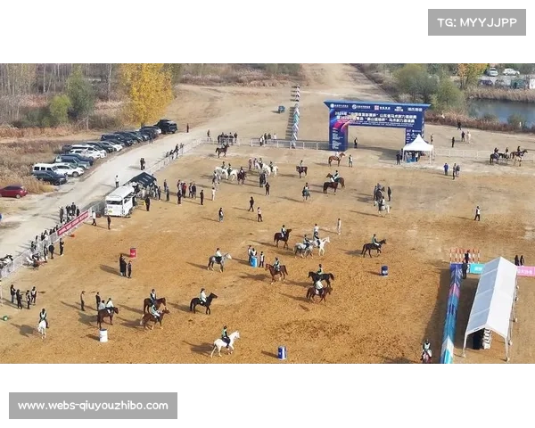 辽宁队马术耐力赛末骑手超时遗憾失奖牌 100公里团体赛痛失荣誉